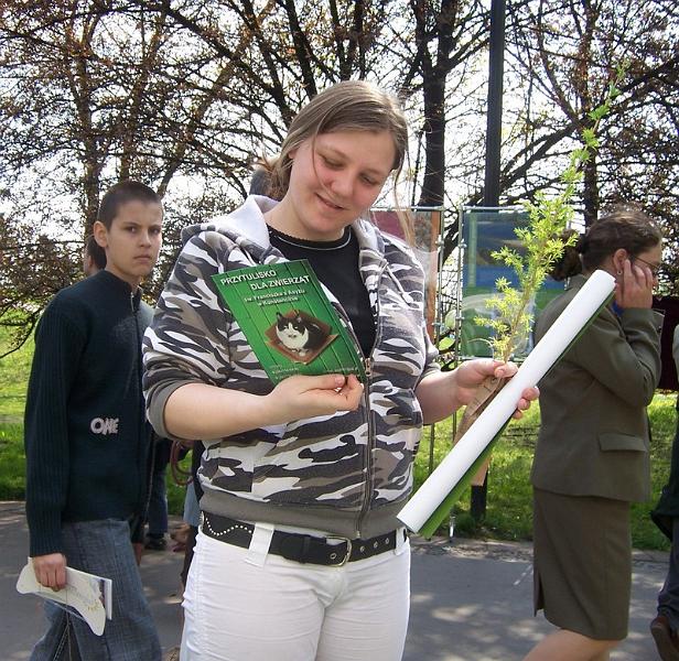 dz042.jpg