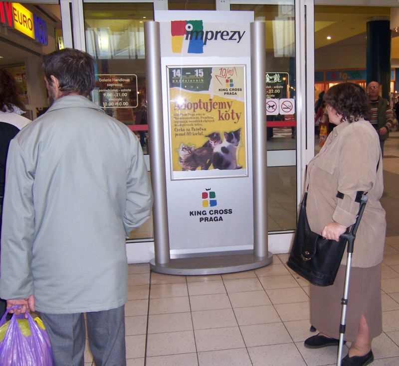 kcross01.jpg