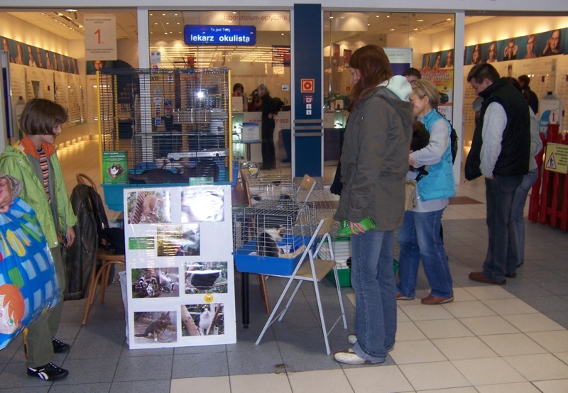 kcross05.jpg
