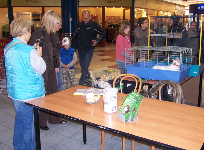 kcross08.jpg