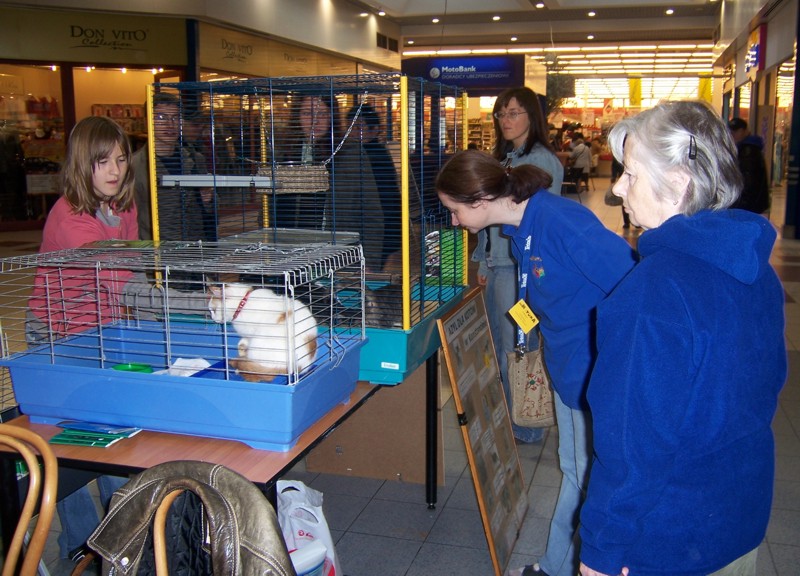 kcross09.jpg