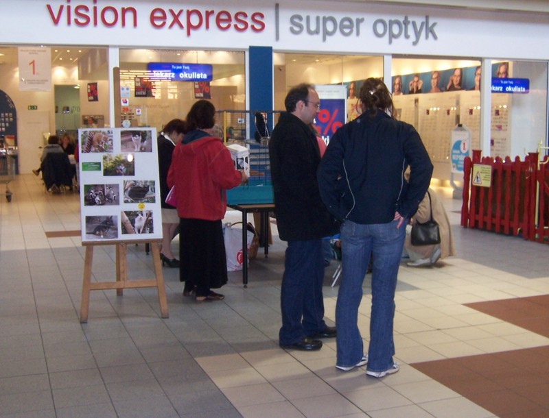 kcross13.jpg