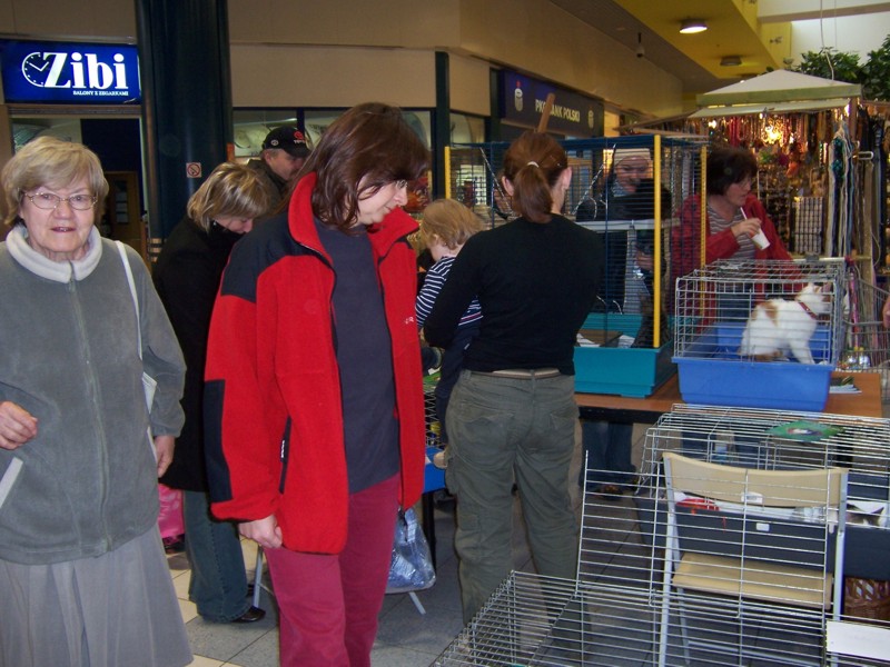 kcross15.jpg