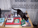 fot 4: pys4.jpg [135158 bajt�w]