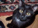 fot 12: z13.jpg [125180 bajt�w]