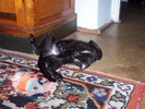 fot 16: z17.jpg [148225 bajt�w]