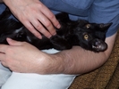 fot 19: z2.jpg [127505 bajt�w]